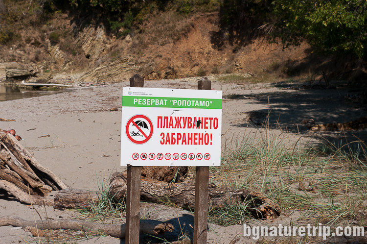 Табела указваща забрана за плажуване на пясъците край устието на Ропотамо