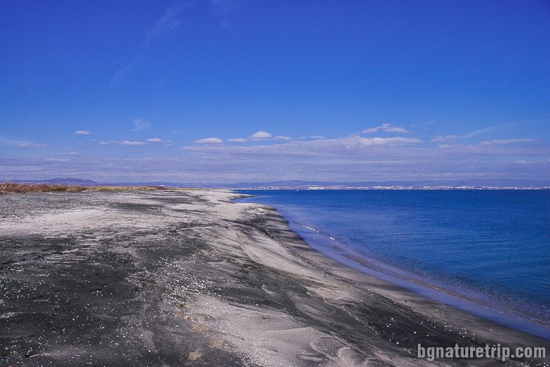 Дългата ивица с необичайно черен пясък