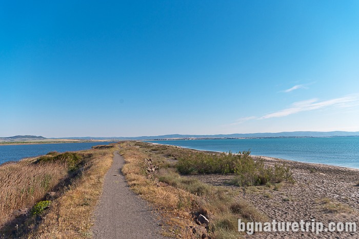 Разходка по екопътеката между Поморийско езеро и морето. Местните наричат тази местност "Ивицата"