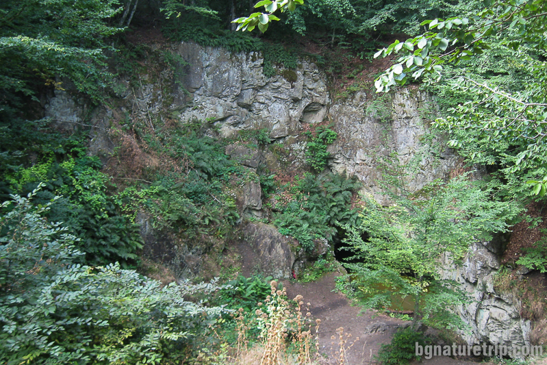 Гробницата на Бастет край Малко Търново със скалния релеф на котка