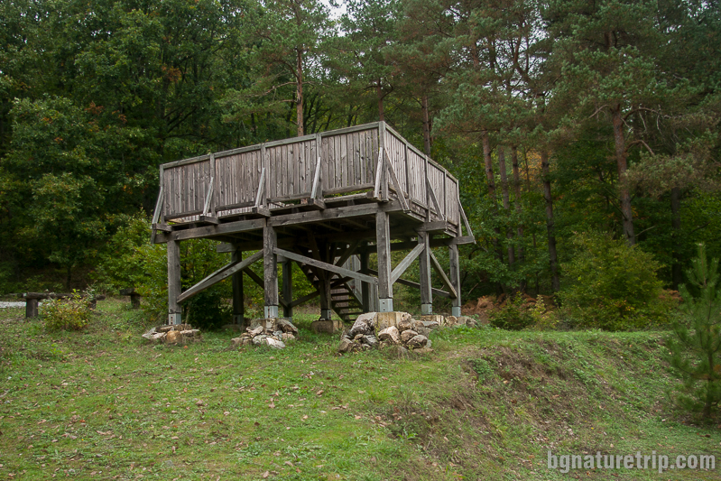 Дървена платформа край Мишкова нива