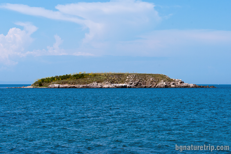 Змийският остров - кръстен така, тъй като в миналото е бил обитание на множество водни змии