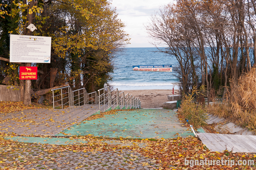 Стълбите водещи към плажа на парк Росенец